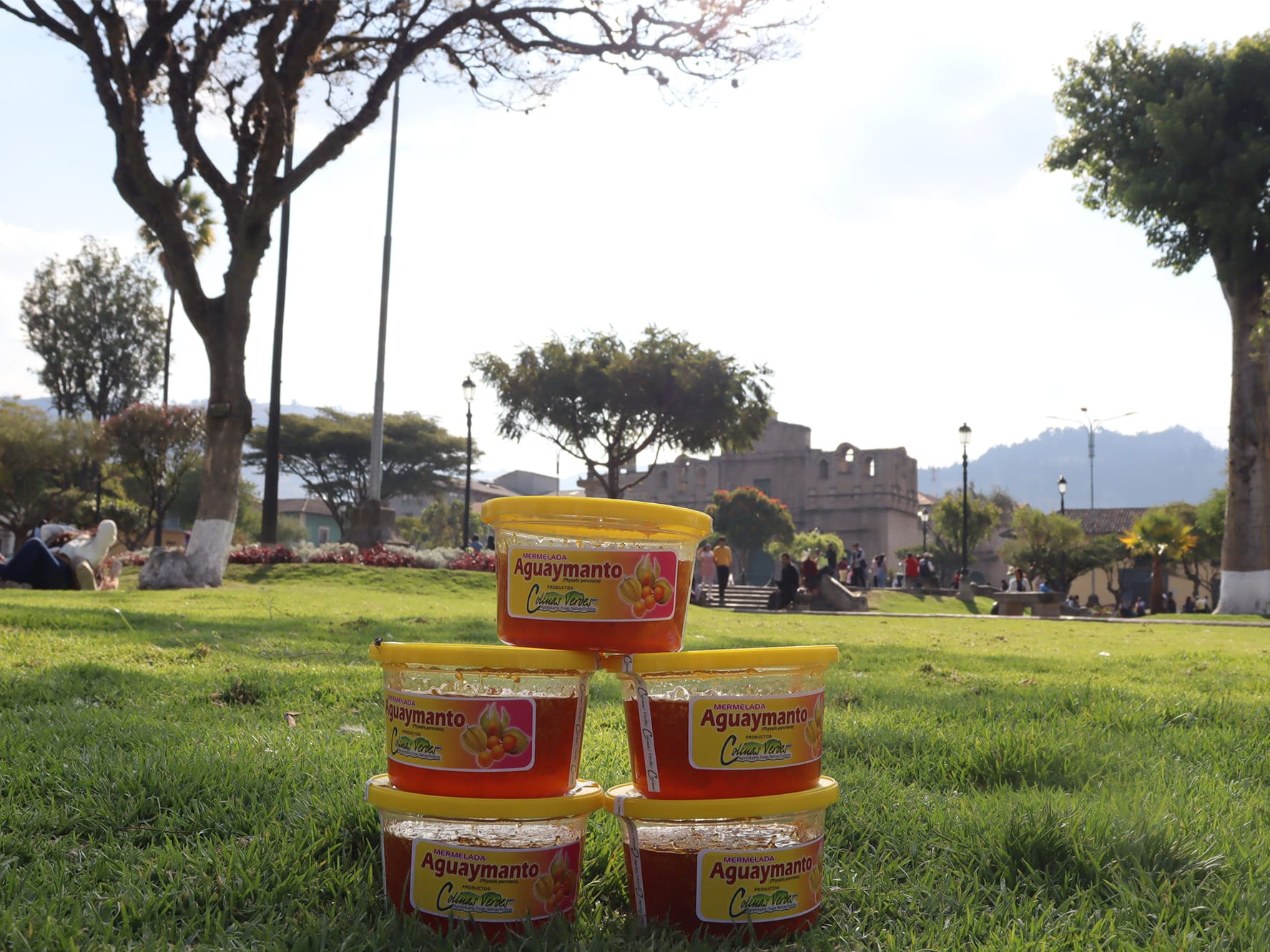 Mermelada de Aguaymanto 250 g