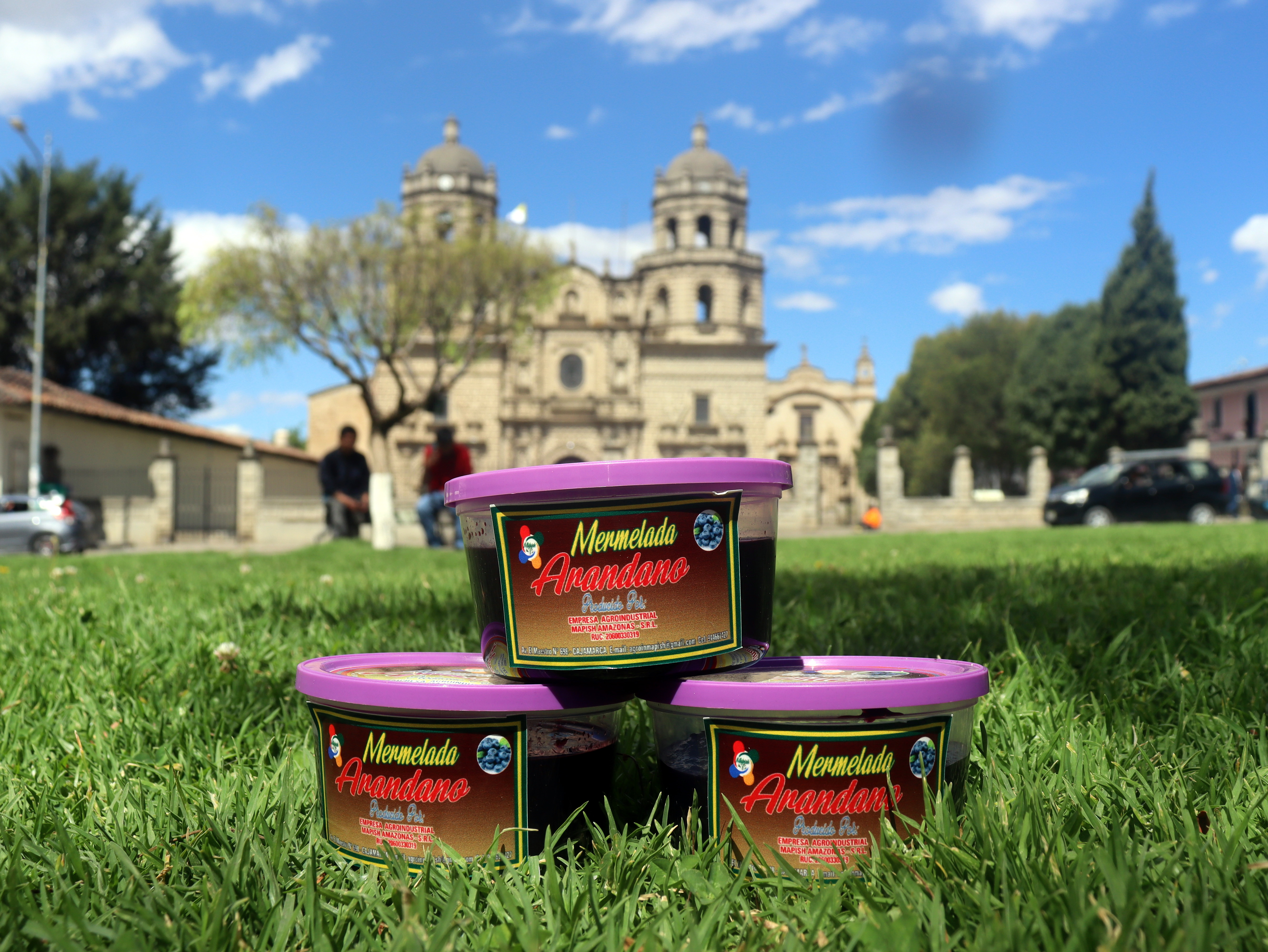 Mermelada de Arándano Taper 250 g