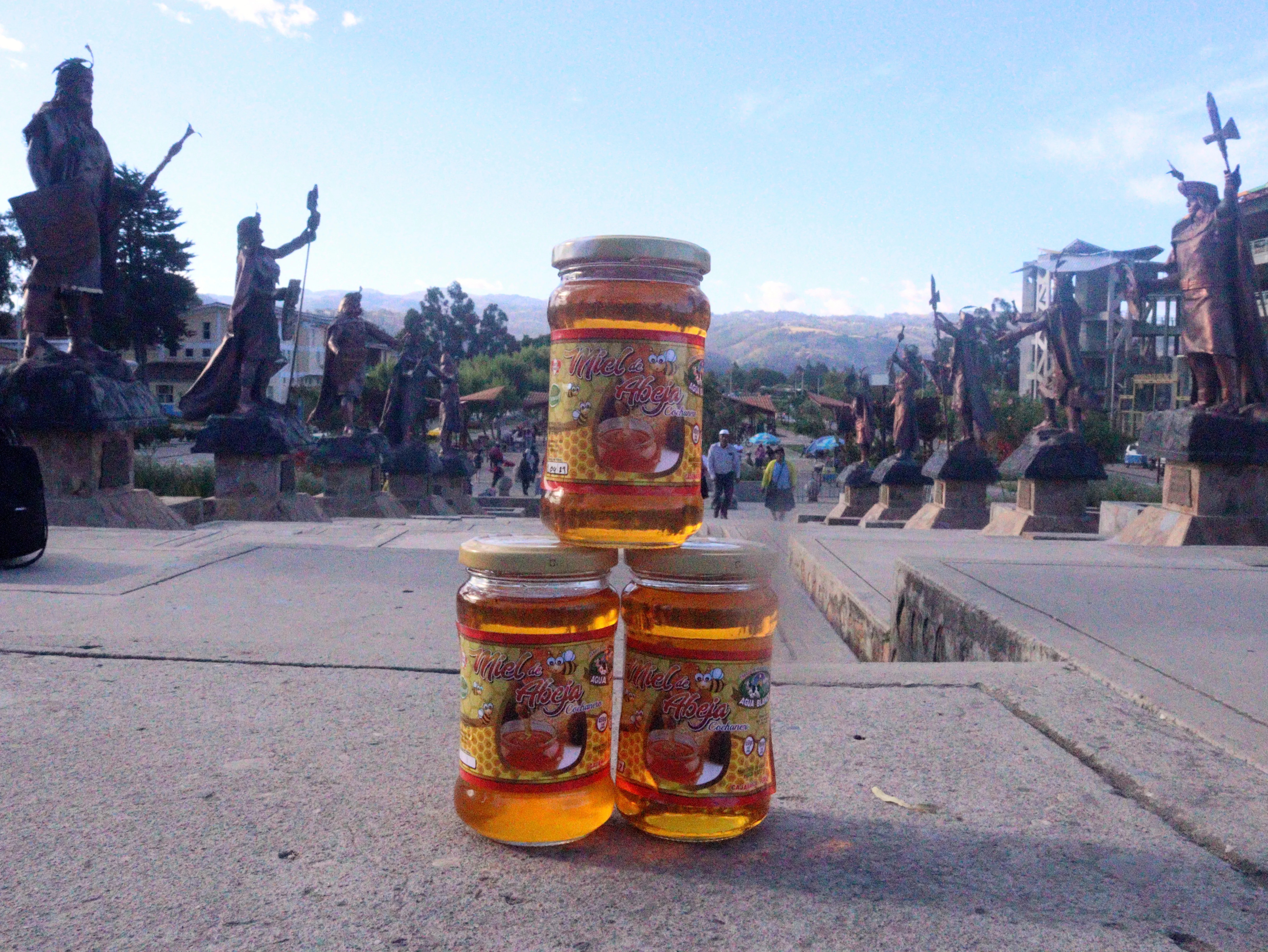 Miel de Abeja 250 g