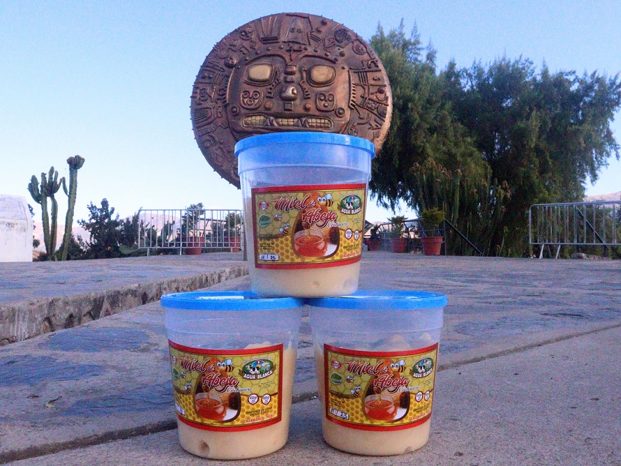 Miel de Abeja 1 Kg