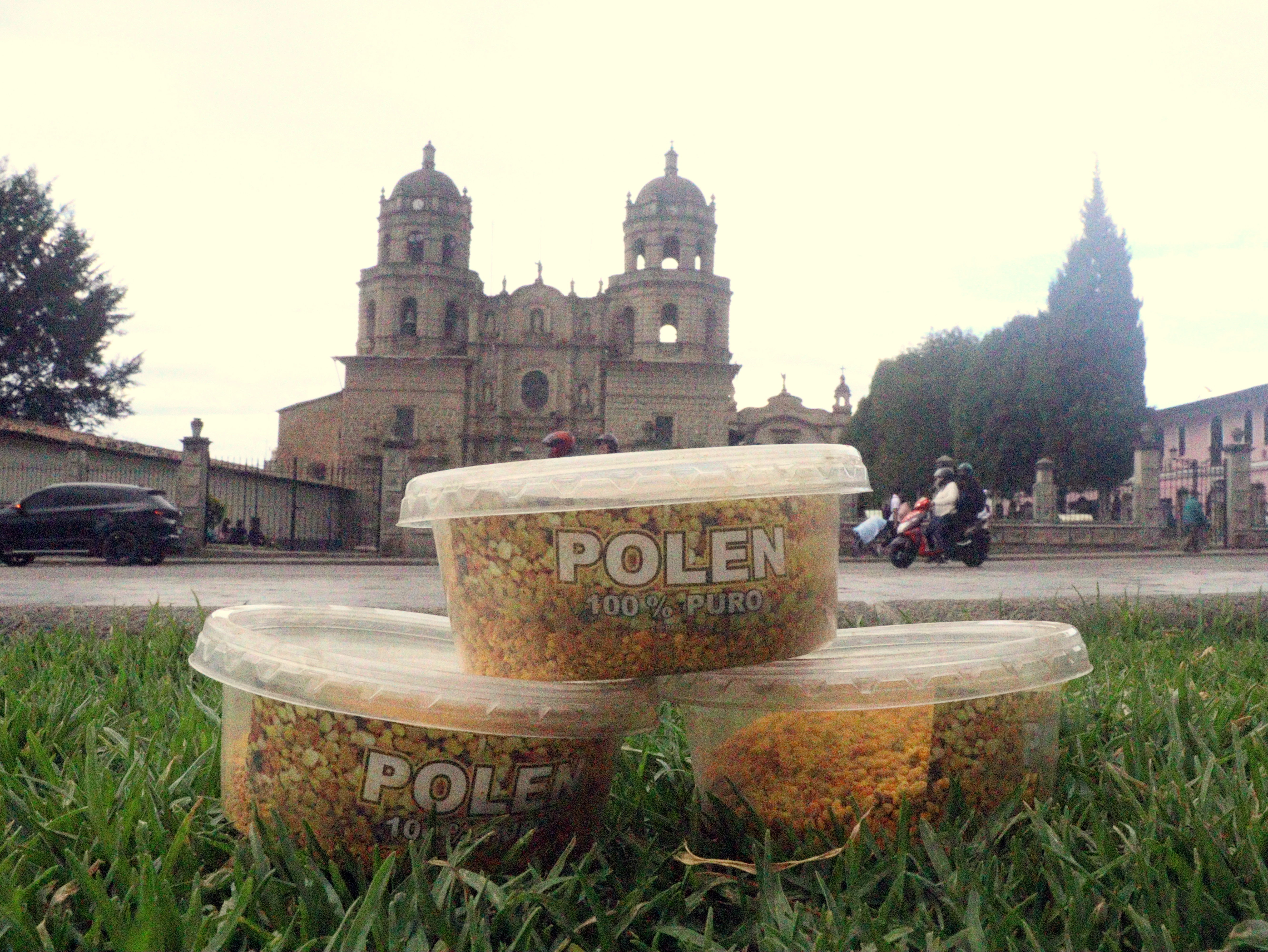 Pólen en Taper 150 g