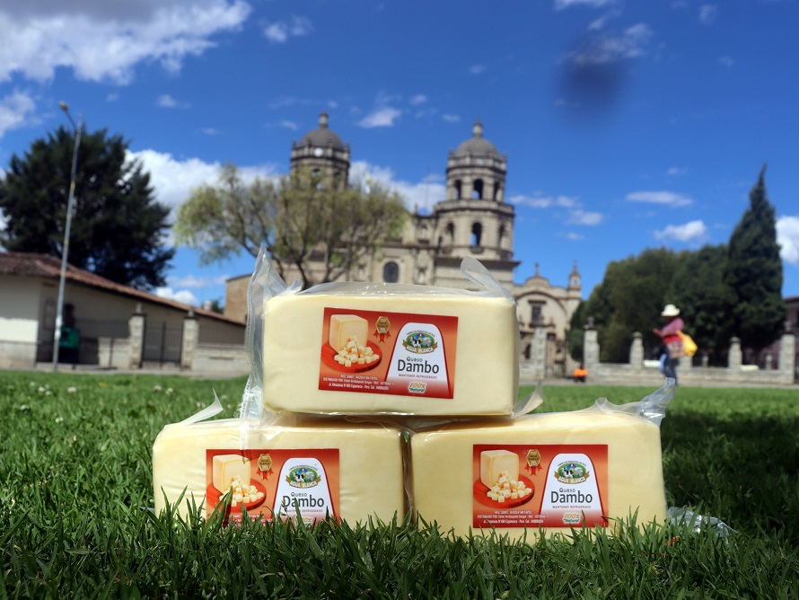 Queso Dambo