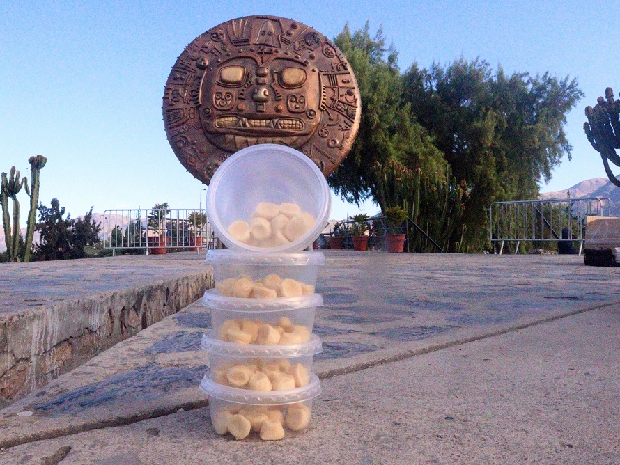 Tapitas de Leche