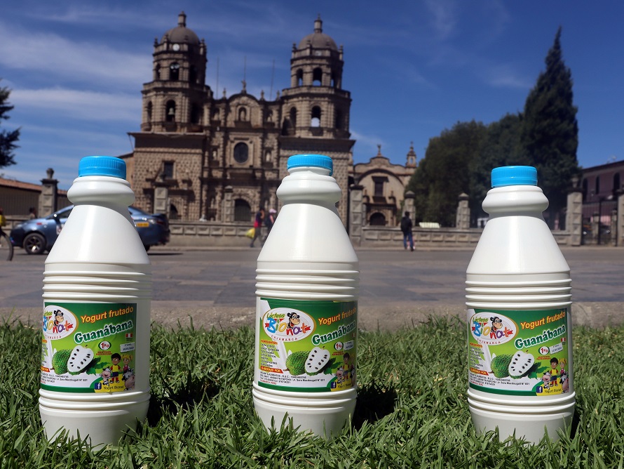 Yogurt de Guanábana 1 L