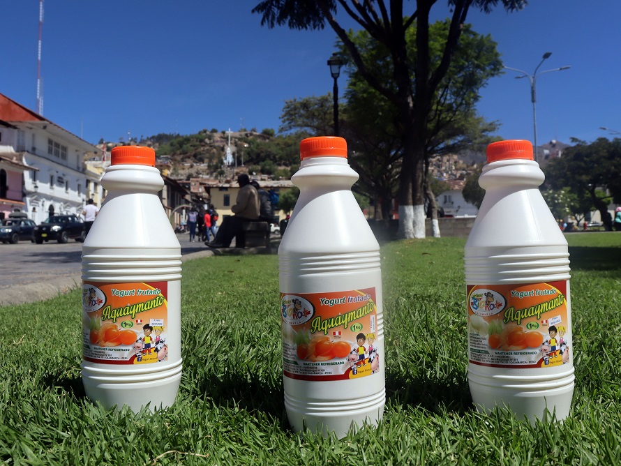 Yogurt de Aguaymanto 1 L