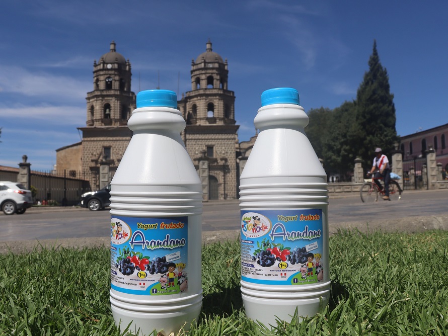 Yogurt de Arándano 1 L